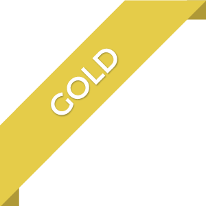 Gold Website Package